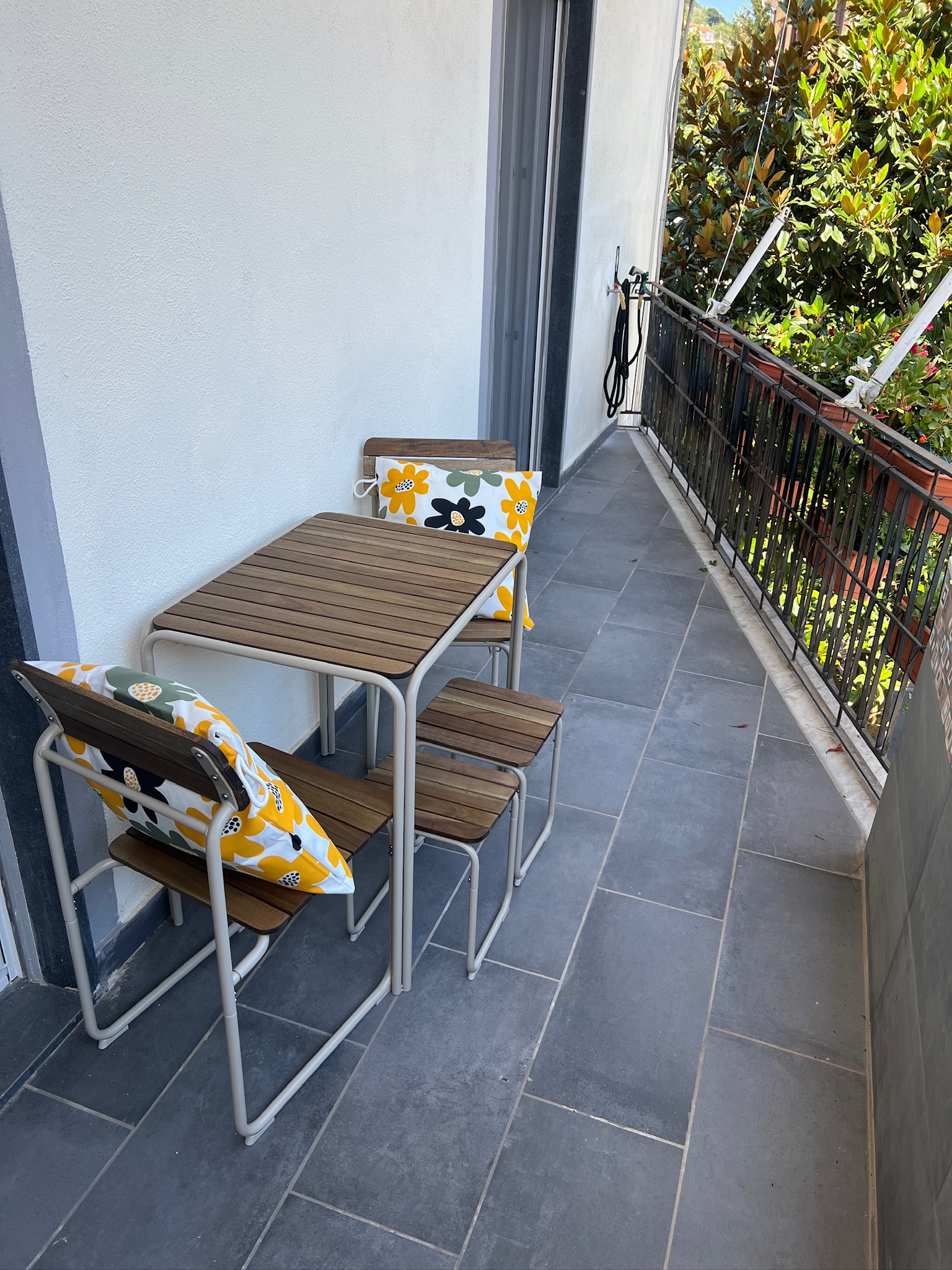 Alegria — Nido degli Dei — 4